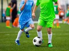 金玉良缘,蛇年特辑,双色球第,大发快三彩票会员登录入口,dafa大发彩票官网,大发彩票dafa