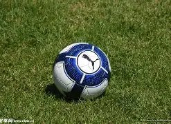 双色球独门,秘籍,期绝杀红球,大发快三彩票会员登录入口,dafa大发彩票官网,大发彩票dafa