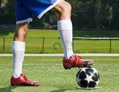 勇闯彩市秘,狗年双色球,期图解秘籍,大发快三彩票会员登录入口,dafa大发彩票官网,大发彩票dafa