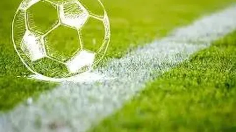 【独胆出击，狗年26023期三胆精选！权威专家助力，赢取大奖不是梦】