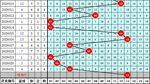 2026021期双色球专家推荐：大乐透最佳蓝号04
