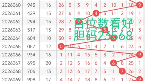 大乐透期号专家质合分析推荐前区十码，定胆技巧可靠